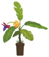 ABLAK MATRICA TÜKÖR ÜVEG VIRÁG CSERÉPBEN