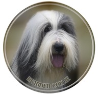 Samolepka na auto - Bearded kolie - Bearded collie