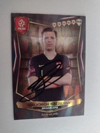 Karta panini autograf Polska Wojciech Szczęsny Limited Edition PZPN