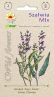 WILDFLOWER Šalvia mix semená 0,5g ORIGINÁLNA TRVALKA