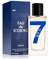 Perfumy męskie ICEBERG Eau de Iceberg Cedar Pour Homme EDT 100ml FOLIA