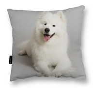 VANKÚŠ SO PSOM SAMOYEDEM samojed darček sivý 40x40 mäkký veľký