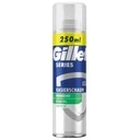 Gillette Series Sensitive Aloe Vera 250 ml pianka do golenia 0395