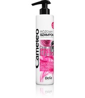 Šampón Delia Cosmetics ochrana farby 250 ml