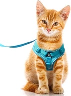postroj pre psa Mačka s vodítkom Sieťovina Nastaviteľné M Svetlo modrá