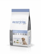 Avantis Puppy 15kg suché krmivo pre psa