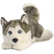 Aurora 26263 Maskot Husky ležiaci 28 cm