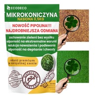 MIKROKONICZYNA do 10 cm KONICZYNA DROBNOLISTNA NASIONA 500G - 400m2 Trawnik