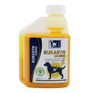 Kurasyn Canine 240ml- kurkumín a kyselina hyalurónová
