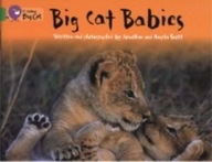 Big Cat Babies: Band 05/Green Scott Jonathan