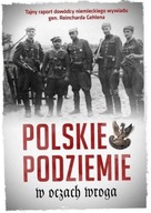 Polskie podziemie w oczach wroga w.2