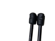 damper bonnets INFINITI EX37 654701BA0A