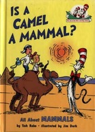 Is a Camel a Mammal? Rabe Tish