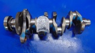 crank PANEWKI 2.0D LAND ROVER DISCOVERY SPORT
