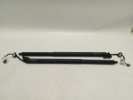 Ford Mustang Mach-E damper bonnet boot left right komplet
