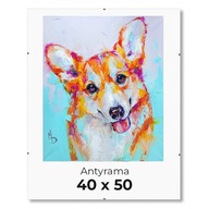 ANTYRAMA plexi na puzzle plakat ok 500el. __ 40x50