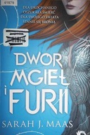 Dwór mgieł i furii - Sarah J. Maas