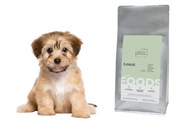 DOBRA KARMA suché krmivo pre prémiové šteniatka LOSOS 65% Junior Puppy 2 kg