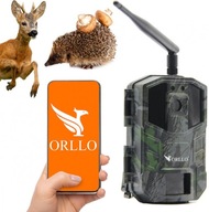 Fotopułapka GSM Kamera leśna bezprzewodowa ORLLO