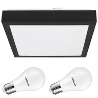 Oprawa plafon natynkowy lampa + 2x LED E27 10W