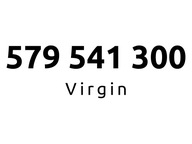 579-541-300 | Starter Virgin (54 13 00) #C