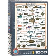 Puzzle 1000 Morské ryby 6000-0313