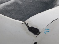 TOYOTA YARIS LIFT 17- front bumper front
