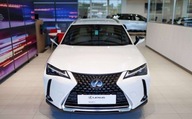 Lexus UX 200 GPF 2WD Business Techno