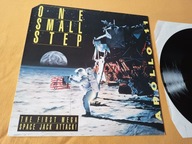 Winyl Apollo 11- One small step /O/ 45 RPM / 12'' / EX
