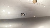 Paraurti posteriore 7166793 BMW E82 E88 Coupe/Cabrio 04
