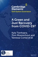 A Green and Just Recovery from COVID-19?: Government Investment in the