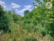 Działka, Olsztyn, Jaroty, 3890 m²