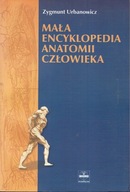 Mała encyklopedia anatomii człowieka Urbanowicz