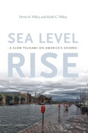 Sea Level Rise: A Slow Tsunami on America s