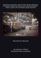 Human Rights and the Arab Spring: The Cases of