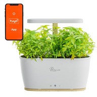 Extralink Smart Garden | Inteligentna doniczka | Wi-Fi, Bluetooth