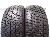 Nexen N'blue 4Season Van 225/65R16 112R_F-VAT_wzmocnienie (C)