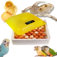 NAGY TOJÁS INKUBÁTOR LCD TERMOSZTÁTTAL AUTOMATA KELTETŐ 88 TOJÁSHOZ