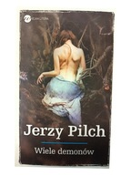 JERZY PILCH WIELE DEMONÓW