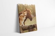 Obraz na płótnie pies rasy border collie i koń 50x100 cm