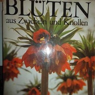 Bluten aus Zwiebeln und Knollen - Neuman Verlag