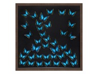 Nástenná dekorácia 3D s motýľmi, 55 x 55 cm