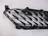 grid of a bumper CUPRA BORN 10E853677C PDC front