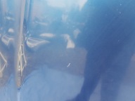 cofano MERCEDES SL R230 W230 C345 345