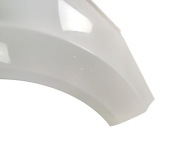 fender right front FORD FIESTA MK7 LAK: H6 (08-12)