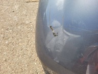 lökhárító hátsó Opel Corsa E 2016