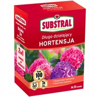 NAWÓZ DO HORTENSJI SUBSTRAL HORTENSJA 2W1 ZAKWASZA 100 DNI DŁUGO DZIAŁA 1KG