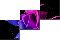 60 90cm obrázok 3 elem Ruža farby Jakub Banáš nástenná tlač plátno
