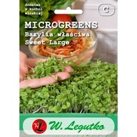 Bazylia Sweet Large 3g Microgreens - Superfood