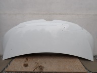 CAPOT RENAULT MASTER III LIFT 19